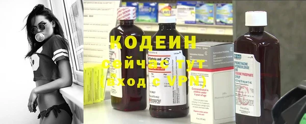 индика Абинск