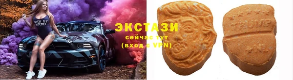 индика Абинск