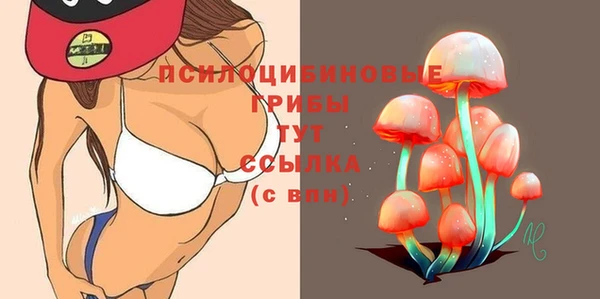 индика Абинск