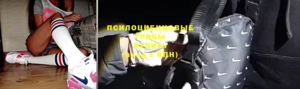 индика Абинск