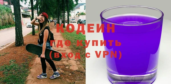 индика Абинск