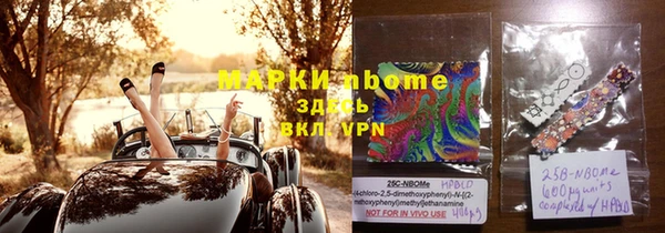 индика Абинск