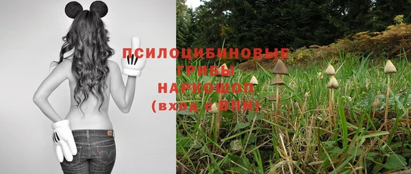 экстази Абаза