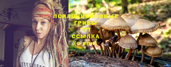 экстази Абаза