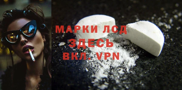 индика Абинск