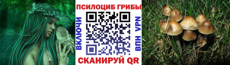 Псилоцибиновые грибы GOLDEN TEACHER  наркошоп  Ялта 